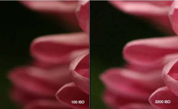 learn-to-use-your-camera