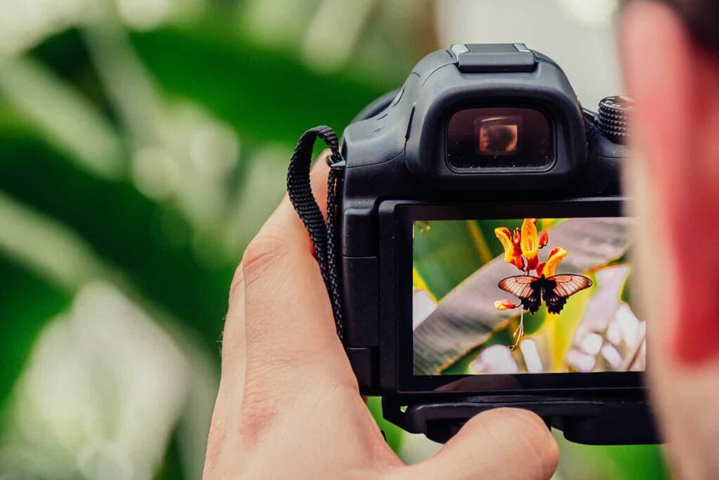 beginner-photography-course-cape-town