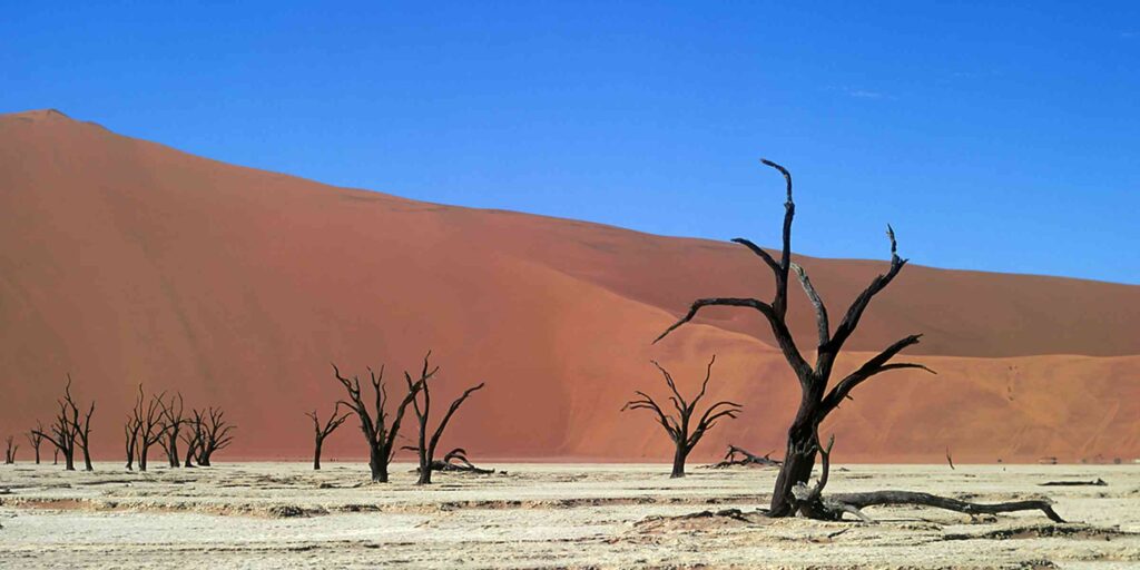 namibia-photography-tours