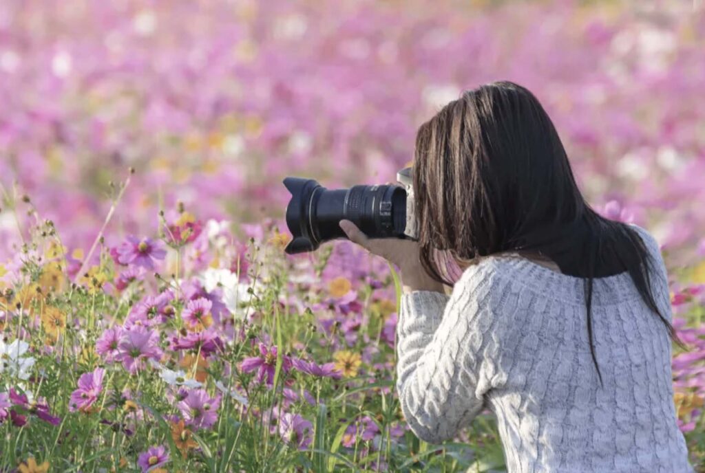 in-person-beginner-photography-courses.jpg
